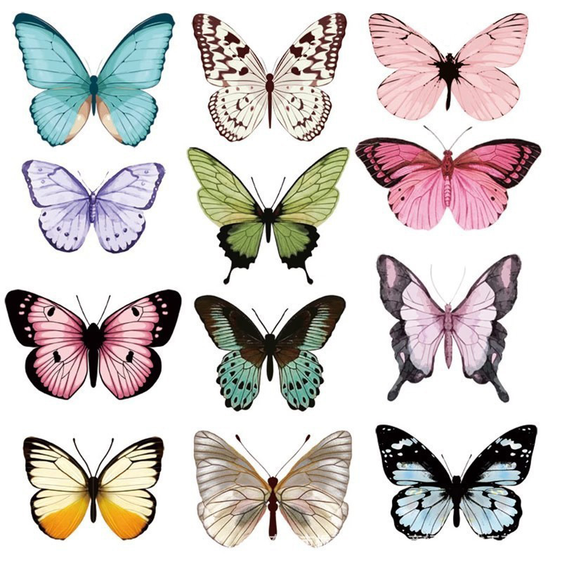 12pcs 3D Butterfly Wall Sticke - Art Craft Easter ulasan dan harga